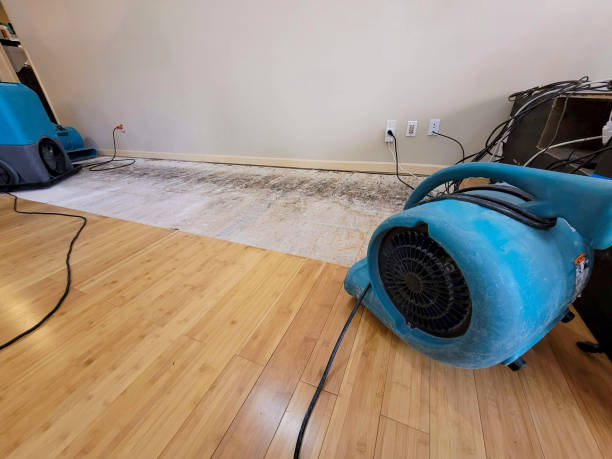 Professional Structural Drying technician working in Lake Park, IA